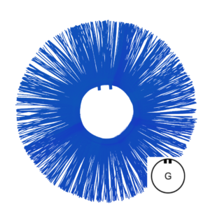 Brush Ring Beeline® 178x580 PP 2.0 BL